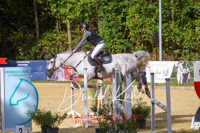 DKP42397 | Deine Turnierfotos vom Reitturnier online kaufen: Dressur, Springen & Siegerehrung. Professionelle Pferdefotografie aus dem Rheinland – als Download & Print.Alternative: Turnierfotograf für den Pferdesport: Finde deine Fotos von Dressur- und Springturnier