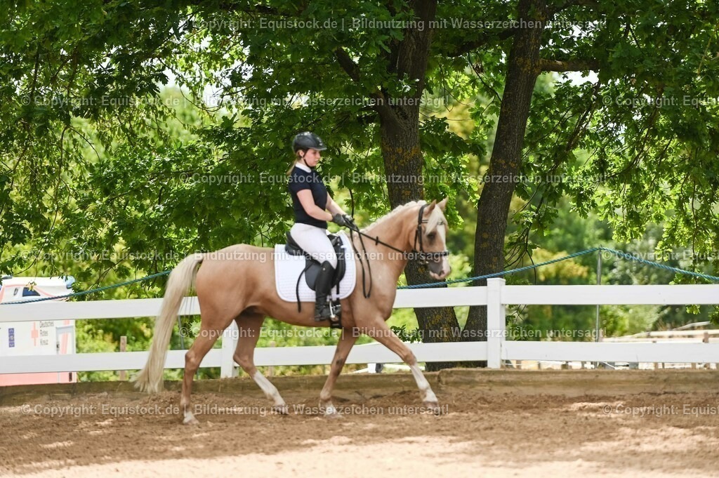 20230715_09_Dressur-WB_0527 | equistock