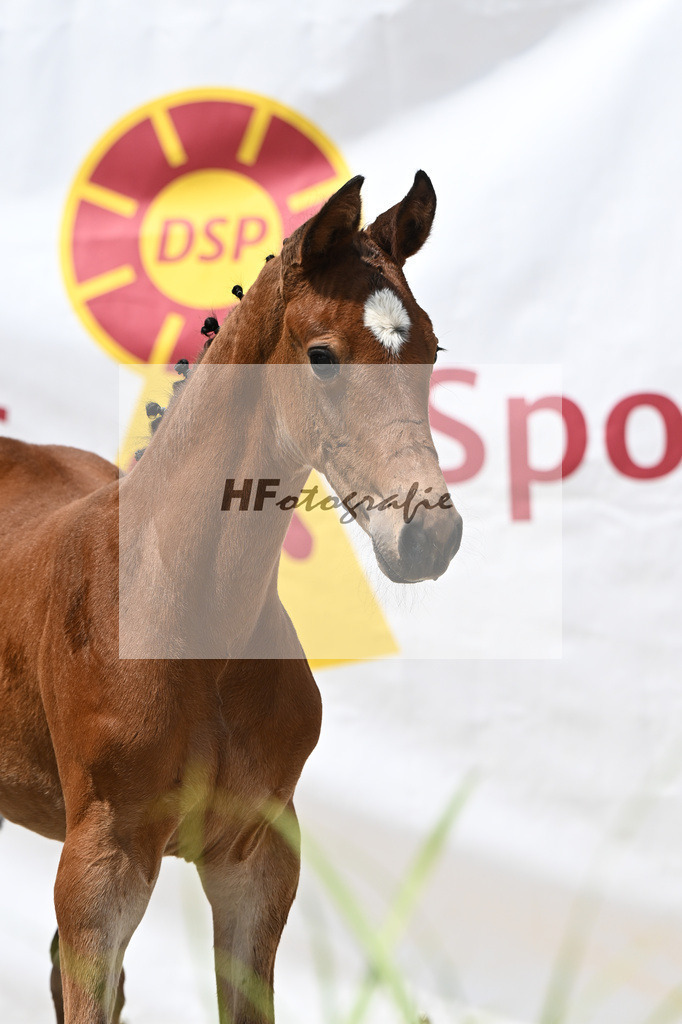 Cardento x Heartbreaker_SF_Wagner_12250846 | hf-fotografie - Realisiert mit Pictrs.com