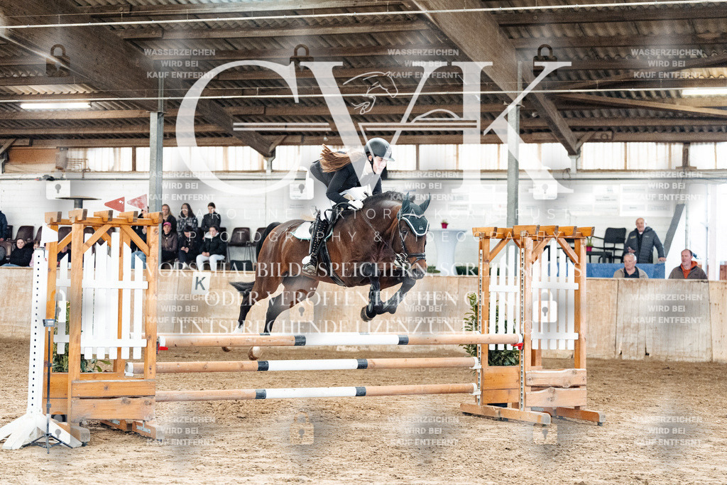 CK904298 | Turnierfotografie Pferdefotografie Trier Rheinland-Pfalz Pferdesport Reitsport Tierfotografie Sportfotografie Pferdevideo Pferdevideografie Equestrianvideography equestrianphotography  - Realisiert mit Pictrs.com