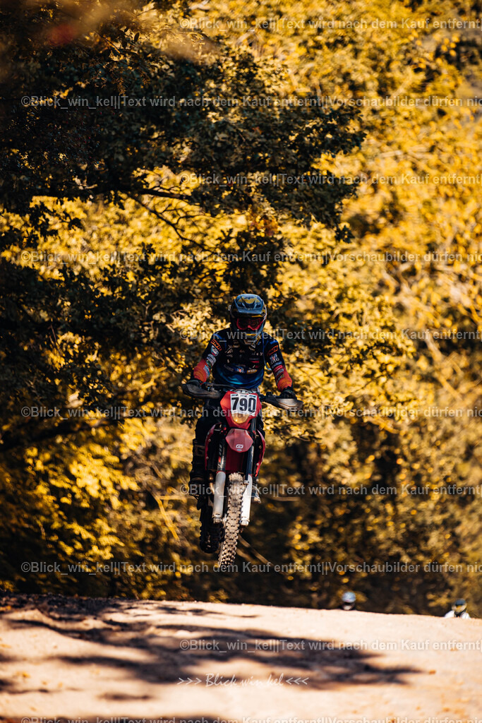 E68A7667 | blick_win_kel