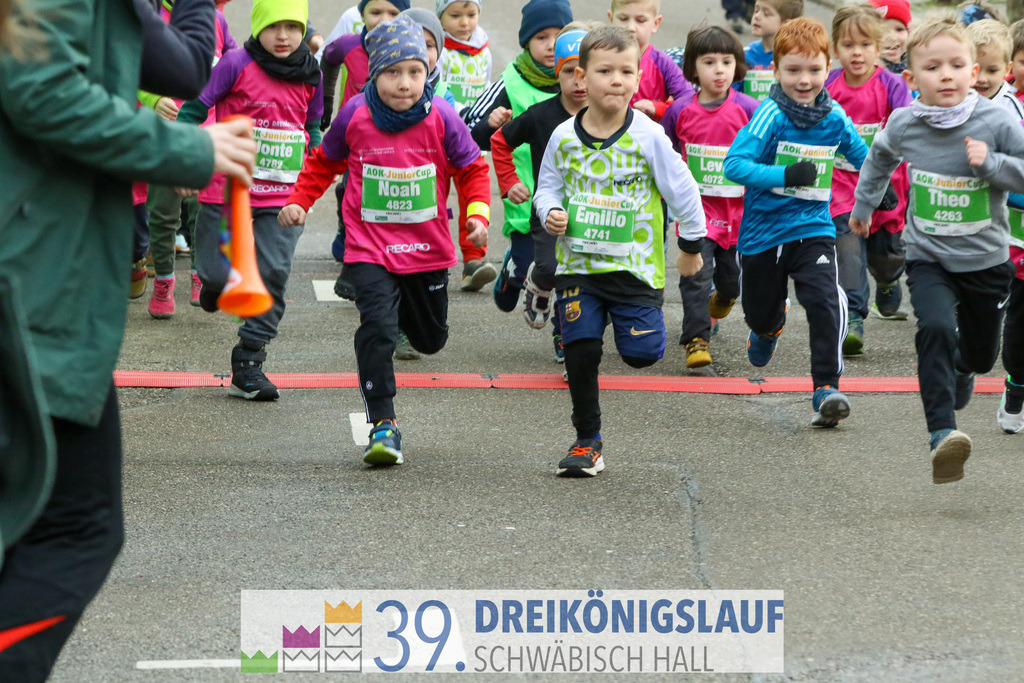 39. 3Koenigslauf 2025 | 20250106_3koenigslauf - Realisiert mit Pictrs.com