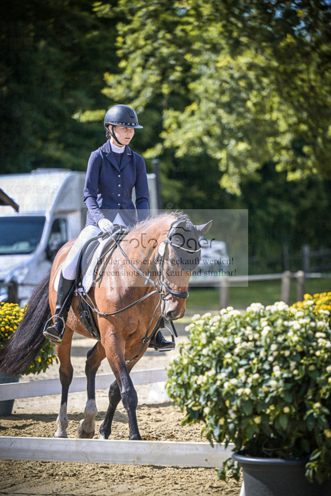 DOS_7440 | Entdecke hochwertige Reitturnierfotos von Foto Oger. Professionell, emotional und authentisch – jetzt Lieblingsmomente im Shop bestellen.Deutschlandweite Turnierfotografie. - Realisiert mit Pictrs.com