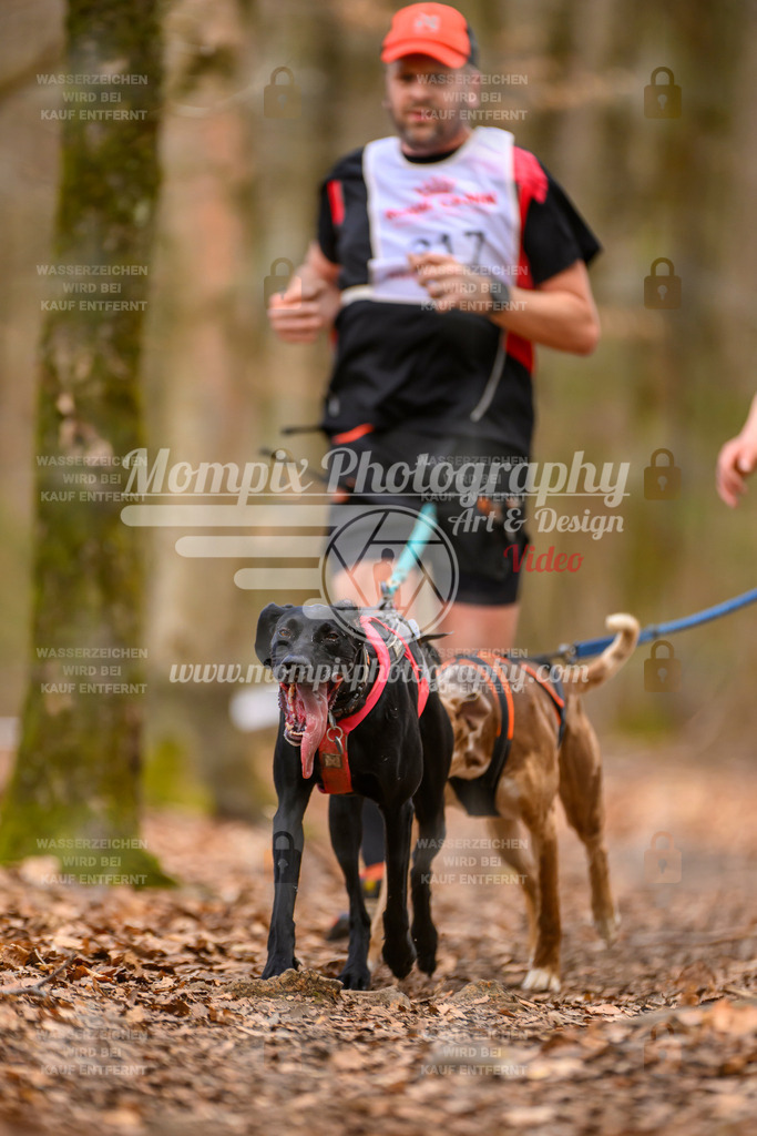 MompixPhotography_Habay2025_SA_CCC-231 | PayLife