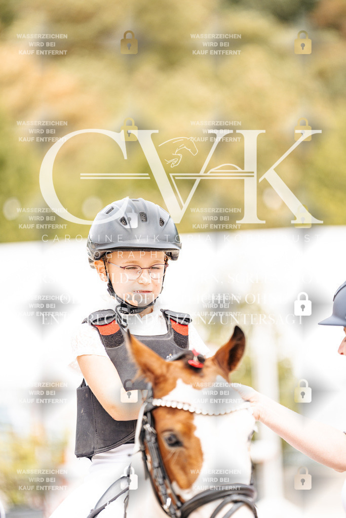 CK907024 | Turnierfotografie Pferdefotografie Trier Rheinland-Pfalz Pferdesport Reitsport Tierfotografie Sportfotografie Pferdevideo Pferdevideografie Equestrianvideography equestrianphotography  - Realisiert mit Pictrs.com