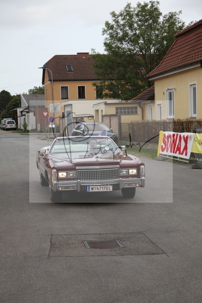 IMG_5972 | Gerhard Witt