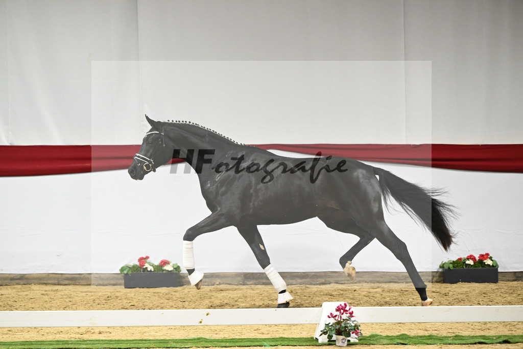 Kat-Nr. 65 v. Ferrantino_Greim_63221651 | hf-fotografie - Realizzato con Pictrs.com