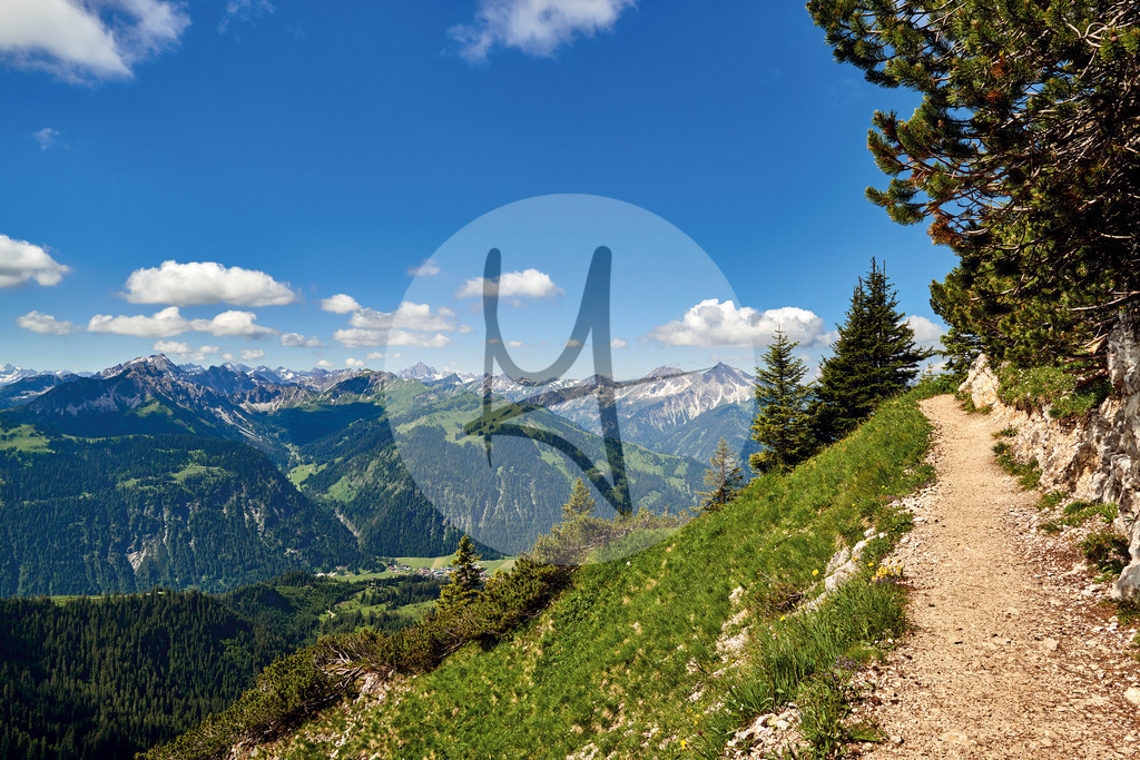 Wandern im Sommer im Tannheimer Tal, Tirol, Österreich | Meurer Shop - Realisiert mit Pictrs.com