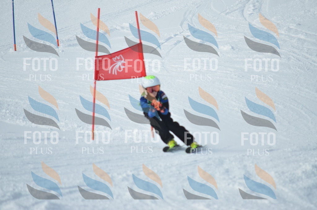 D8686 | holidayphoto