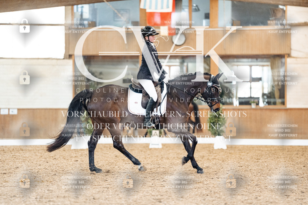 CK908363 | Turnierfotografie Pferdefotografie Trier Rheinland-Pfalz Pferdesport Reitsport Tierfotografie Sportfotografie Pferdevideo Pferdevideografie Equestrianvideography equestrianphotography  - Realisiert mit Pictrs.com