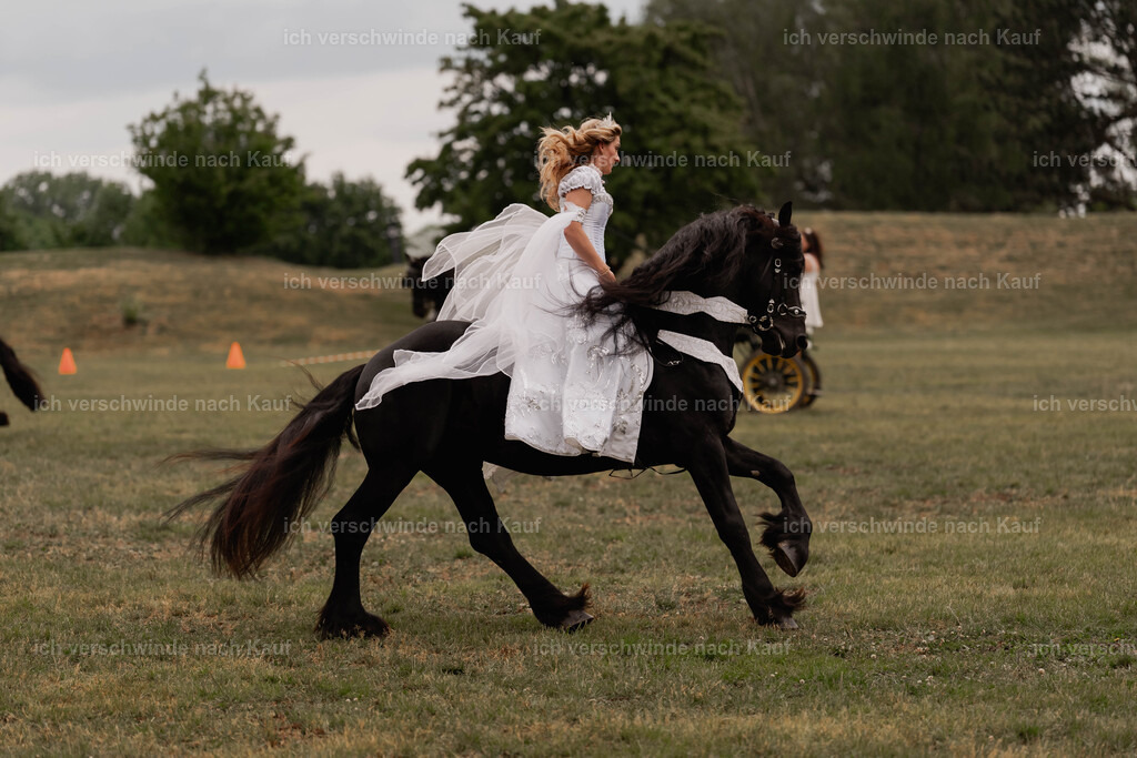 Showprogramm-306 | working equitationturnier fotograf videograf stoibphotography marixx film working equitation deutschland reitsport turnierfotografie eventfotografie equestrian events