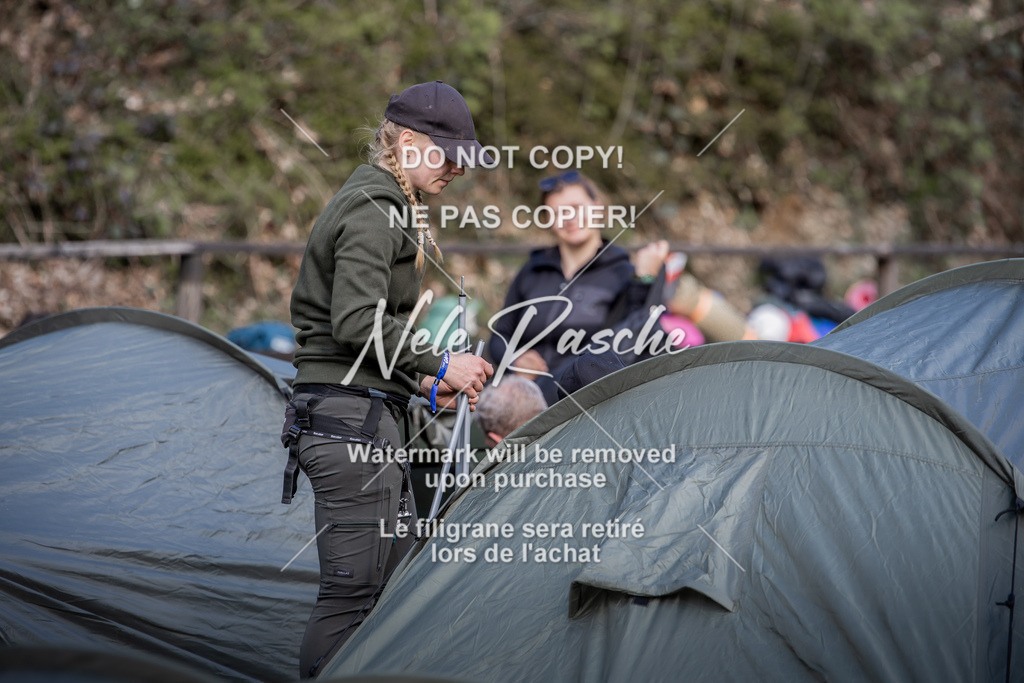 NR__0717 | nelerasche