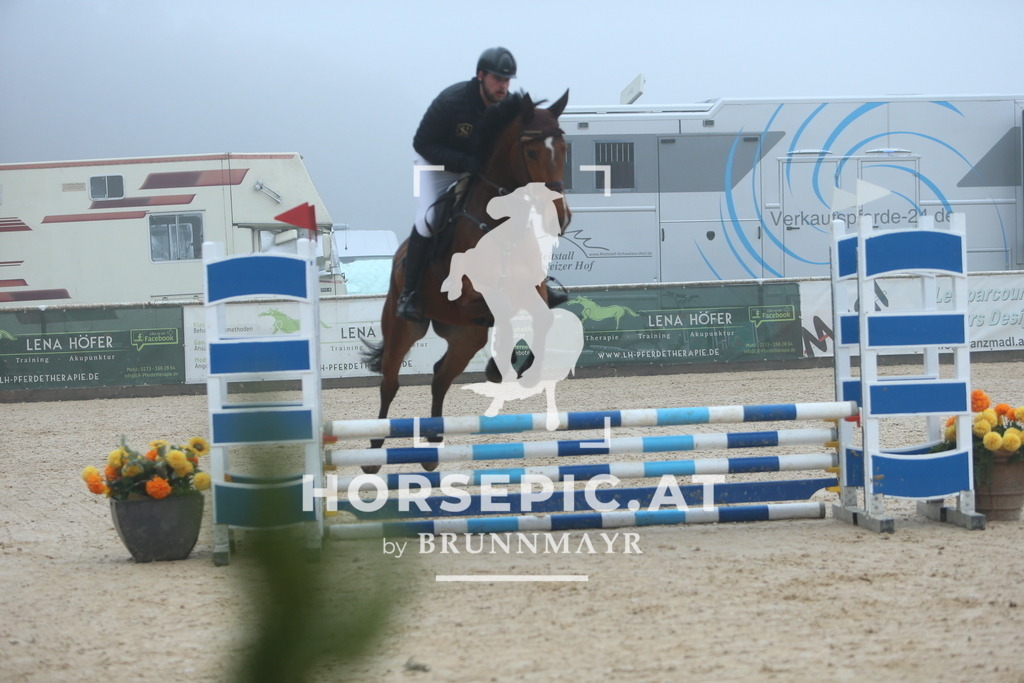 DL2Q8240 | Willkommen bei Brunnmayr - Design & Fotografie – Ihrem Spezialisten für Reitturniere und Pferdeveranstaltungen in Oberösterreich, Salzburg und Bayern! Seit über 17 Jahren sind wir leidenschaftlich dabei.