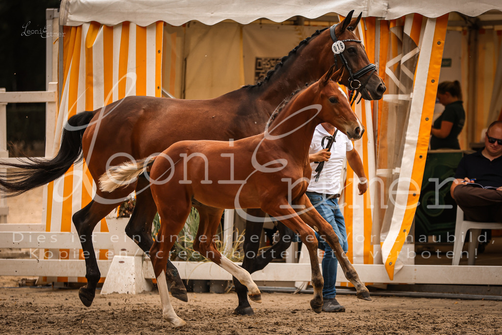 SaPA00224 | Leoni Ertmer Photography - Realisiert mit Pictrs.com