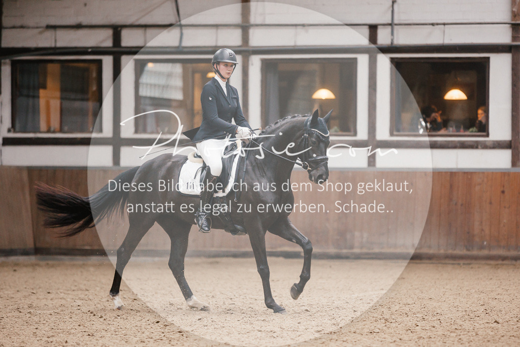 3I6A6161 | Stimmungsvolle Portraits und Reitsportfotografie im Ruhrgebiet und im Münsterland.

Pferdefotografie, Hundefotografie, Tierfotografie, Reportagen, Portraits von Tier und Mensch, Turnierfotografie in Bochum, Recklinghausen, Marl, Haltern am See, Dülmen.. - Realisiert mit Pictrs.com