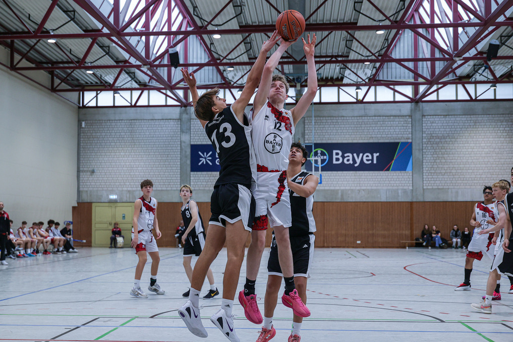 JBBL BAYER GIANTS vs Team BonnKöln RAG-71 | Fotos von Basketballspielen aus dem Raum NRW fotografiert von Gero Mueller-Laschet und Daniel Schaefer - Realisiert mit Pictrs.com