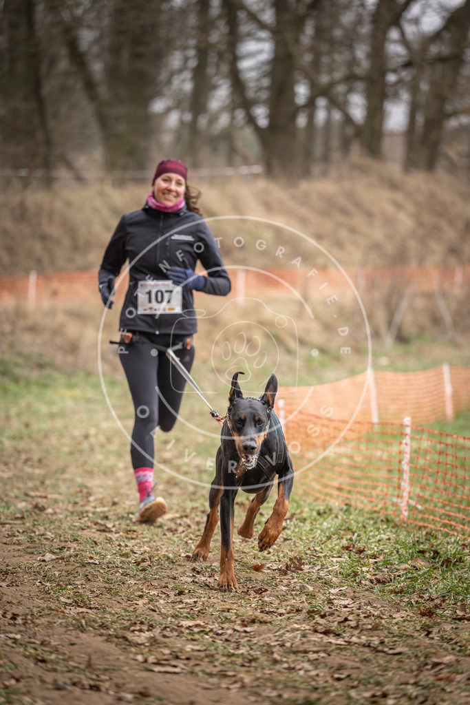 Pfotenfotografie_DV3A7509 | Hundefotografie, Tierfotograf, Pfotenfotografie, Fotoshooting Hund, Hunde Portrait, Hundesport, Hundeportraits, Heideshooting, Hunde, Sportfotograf, Hundefotograf, Turnierhundsport, THS,  - Realisiert mit Pictrs.com