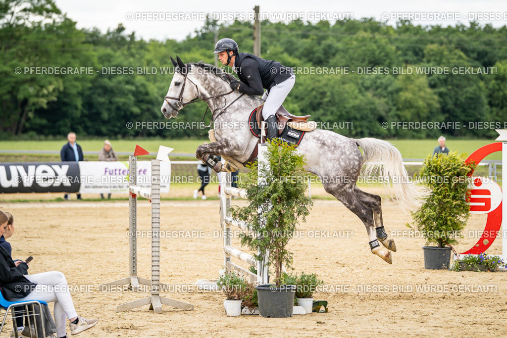 DSC06092 | Pferdegrafie