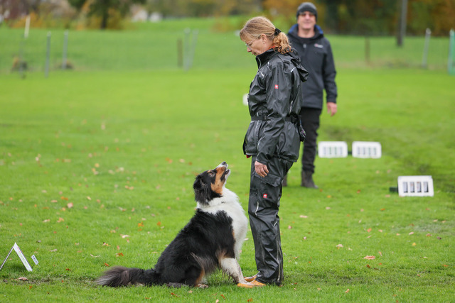 2025_Rally_Obedience_SM-95 | Ich fotografiere Hundeausstellungen, Sportanlässe, Zuchtstätten, Hundezucht, Hundeportrait, Lagotto - Realisiert mit Pictrs.com