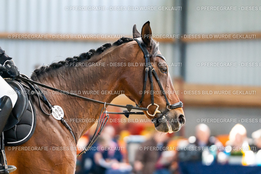 DSC01771 | Pferdegrafie