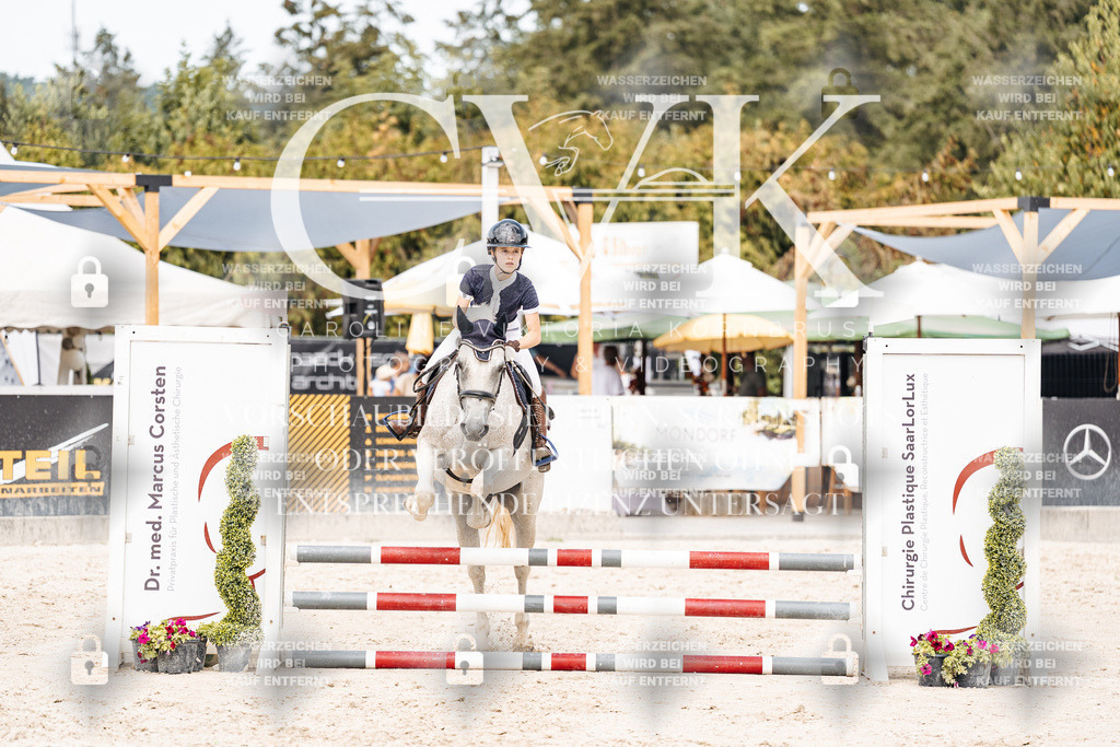 CK906811 | Turnierfotografie Pferdefotografie Trier Rheinland-Pfalz Pferdesport Reitsport Tierfotografie Sportfotografie Pferdevideo Pferdevideografie Equestrianvideography equestrianphotography  - Realisiert mit Pictrs.com