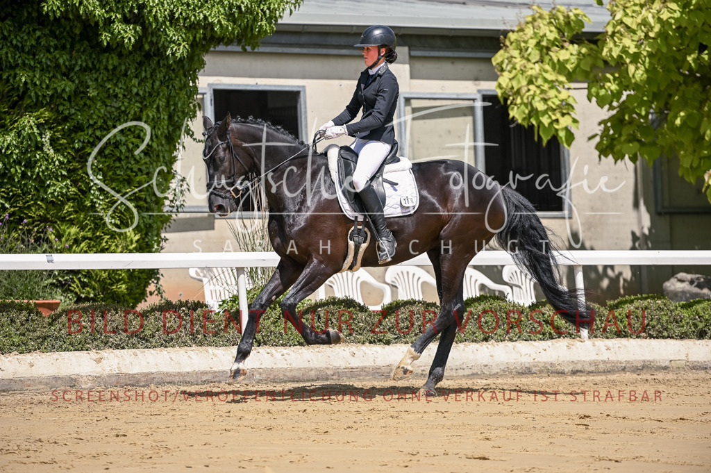 Schugtsche-Aluta25-48.Reitpferfdeprf.-227 | Schugtsche Fotografie - Realisiert mit Pictrs.com