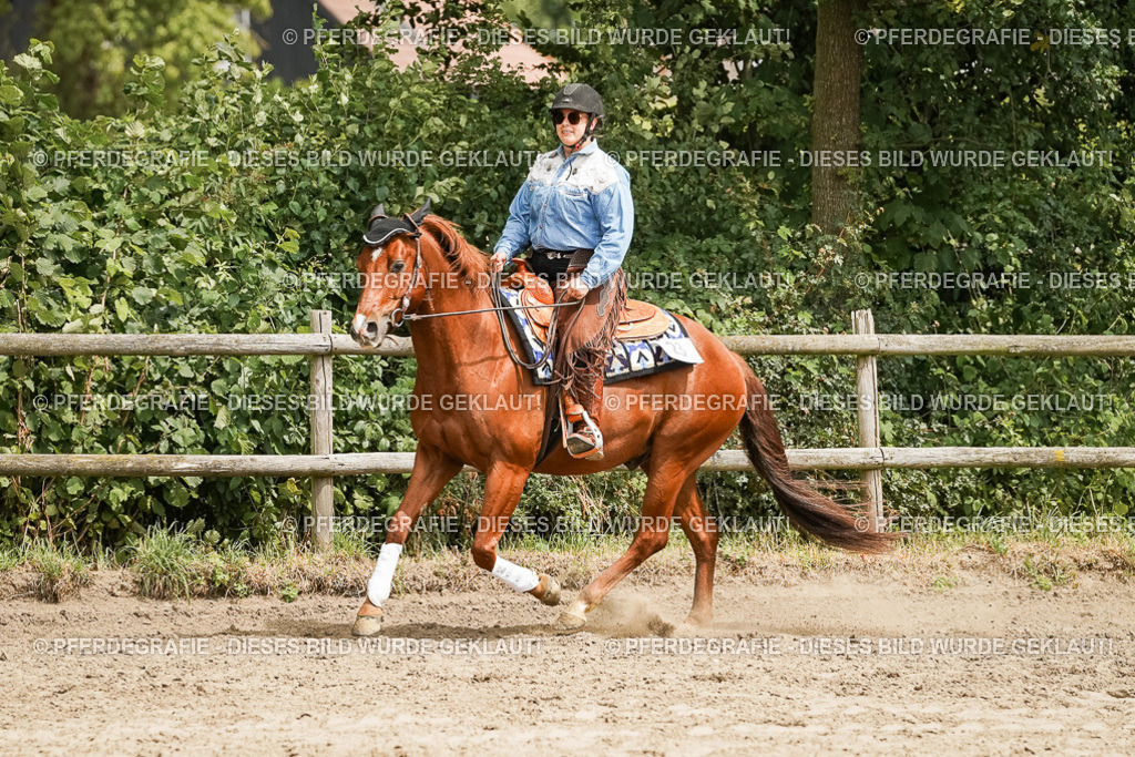 DSC00125 | Pferdegrafie