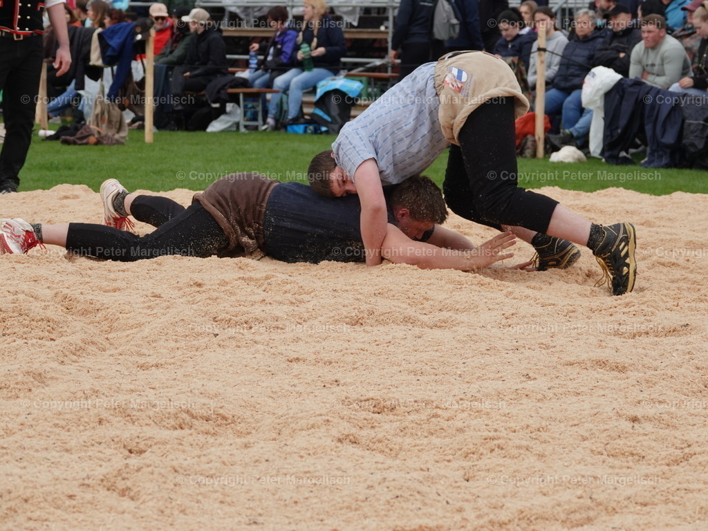 DSC06352 | Schwingen - Realisiert mit Pictrs.com