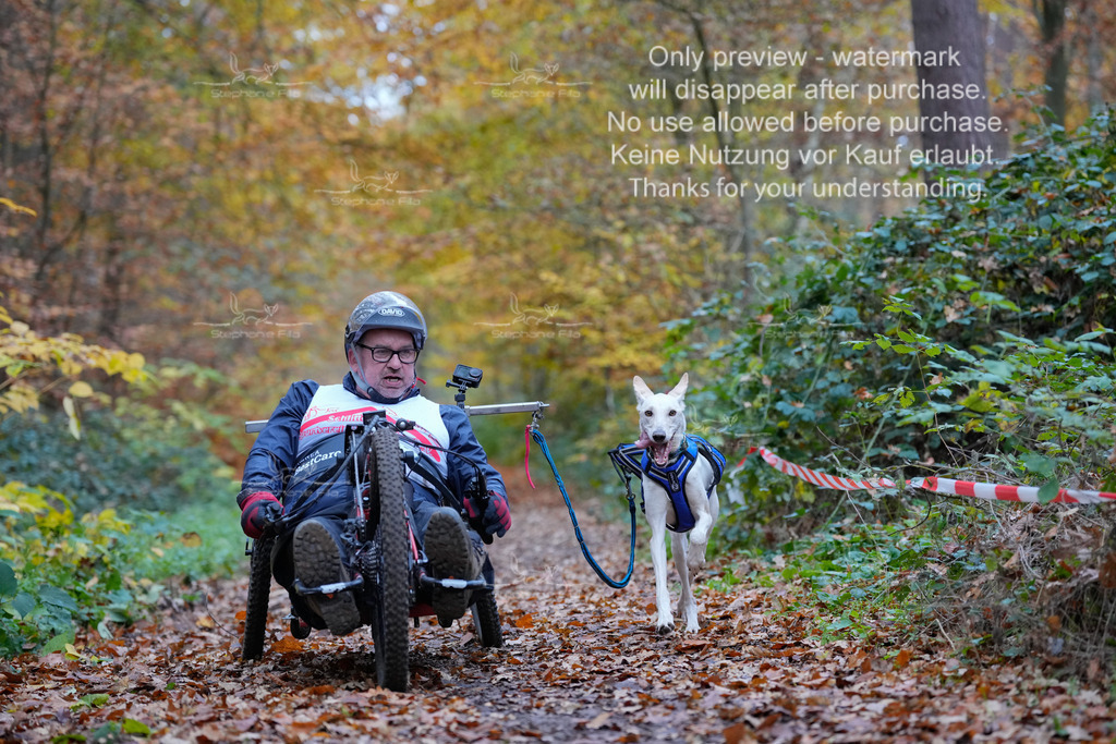 Scooter_So-53 | stephaniefillaphotographie - Realisiert mit Pictrs.com