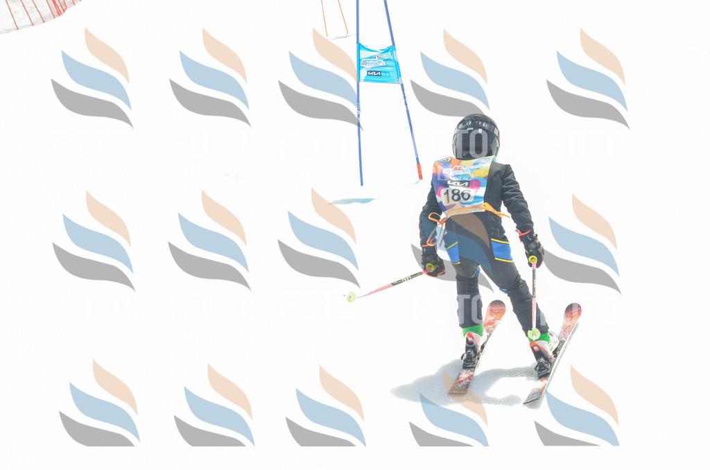 _ELE6747 | holidayphoto