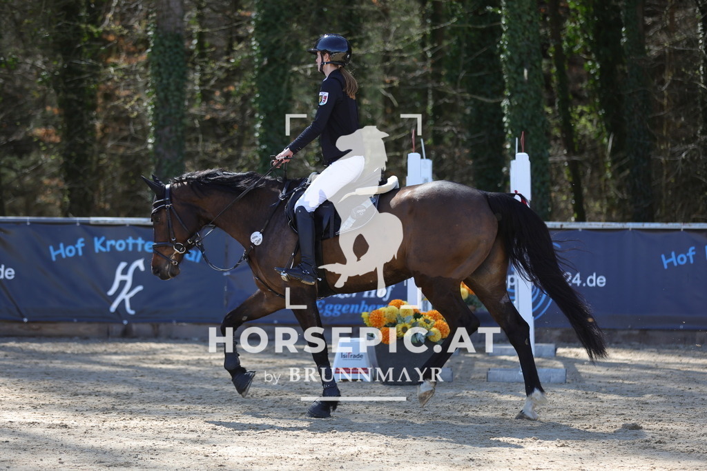 0P6A7843 | Willkommen bei Brunnmayr - Design & Fotografie – Ihrem Spezialisten für Reitturniere und Pferdeveranstaltungen in Oberösterreich, Salzburg und Bayern! Seit über 17 Jahren sind wir leidenschaftlich dabei.