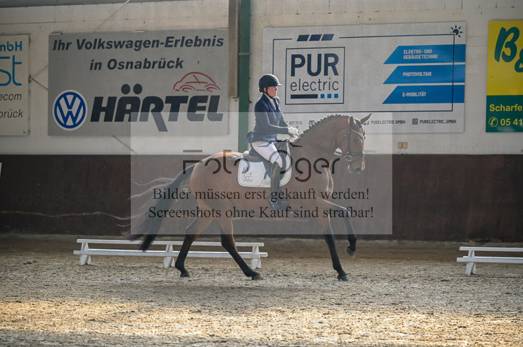 Reitturnier Voxtrup | Entdecke hochwertige Reitturnierfotos von Foto Oger. Professionell, emotional und authentisch – jetzt Lieblingsmomente im Shop bestellen.Deutschlandweite Turnierfotografie. - Realisiert mit Pictrs.com