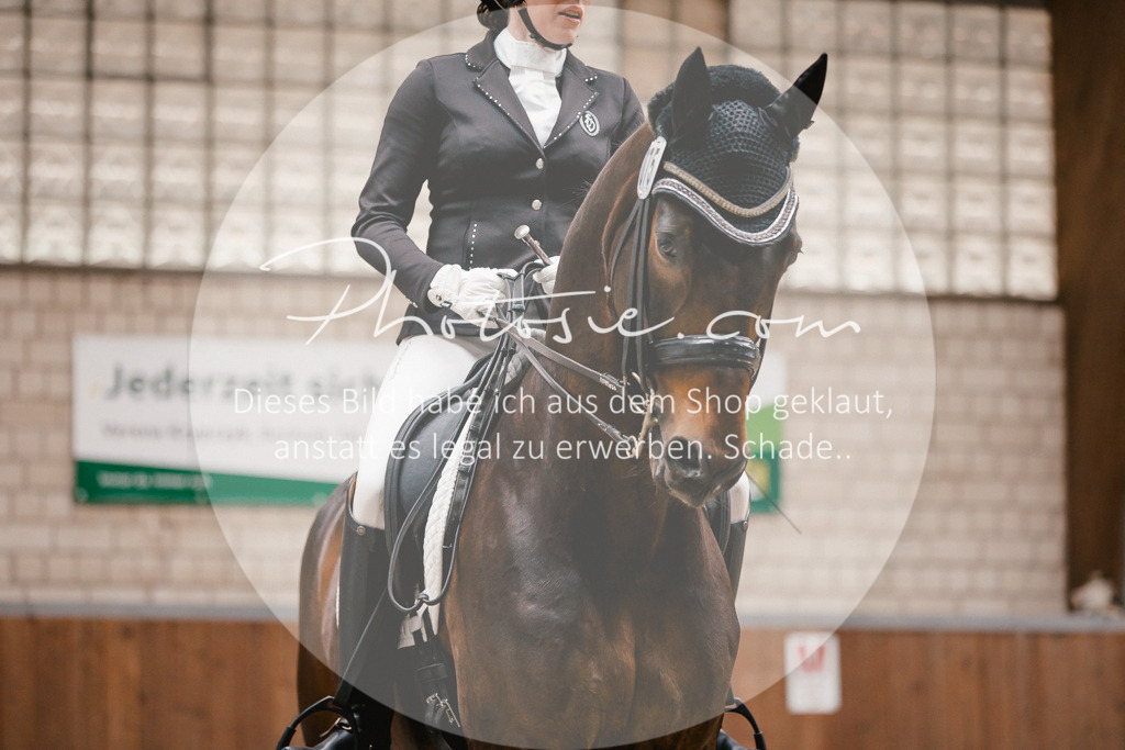 3I6A8697 | Stimmungsvolle Portraits und Reitsportfotografie im Ruhrgebiet und im Münsterland.

Pferdefotografie, Hundefotografie, Tierfotografie, Reportagen, Portraits von Tier und Mensch, Turnierfotografie in Bochum, Recklinghausen, Marl, Haltern am See, Dülmen.. - Realisiert mit Pictrs.com