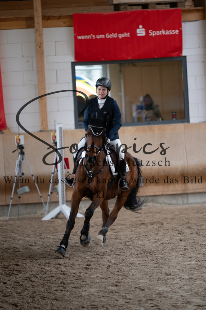 A7V00286 | Pferdefotograf