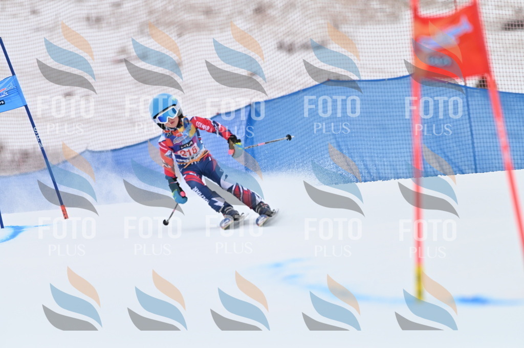 BGV_2919 | holidayphoto