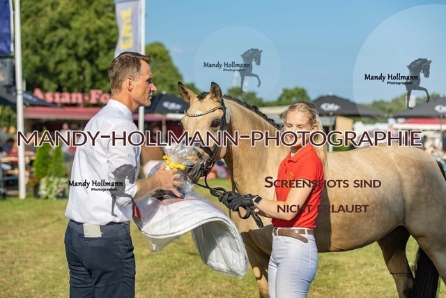LTN STUTEN 2 (2037) | mandyhollmannphotographie
