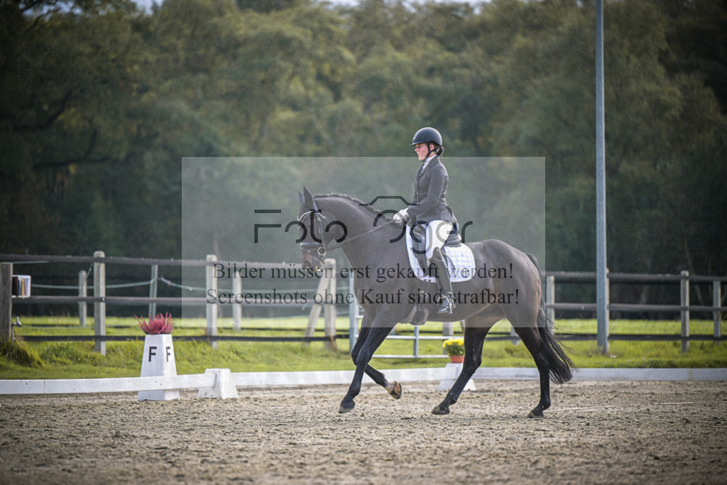 DOS_B266 | Entdecke hochwertige Reitturnierfotos von Foto Oger. Professionell, emotional und authentisch – jetzt Lieblingsmomente im Shop bestellen.Deutschlandweite Turnierfotografie. - Realisiert mit Pictrs.com