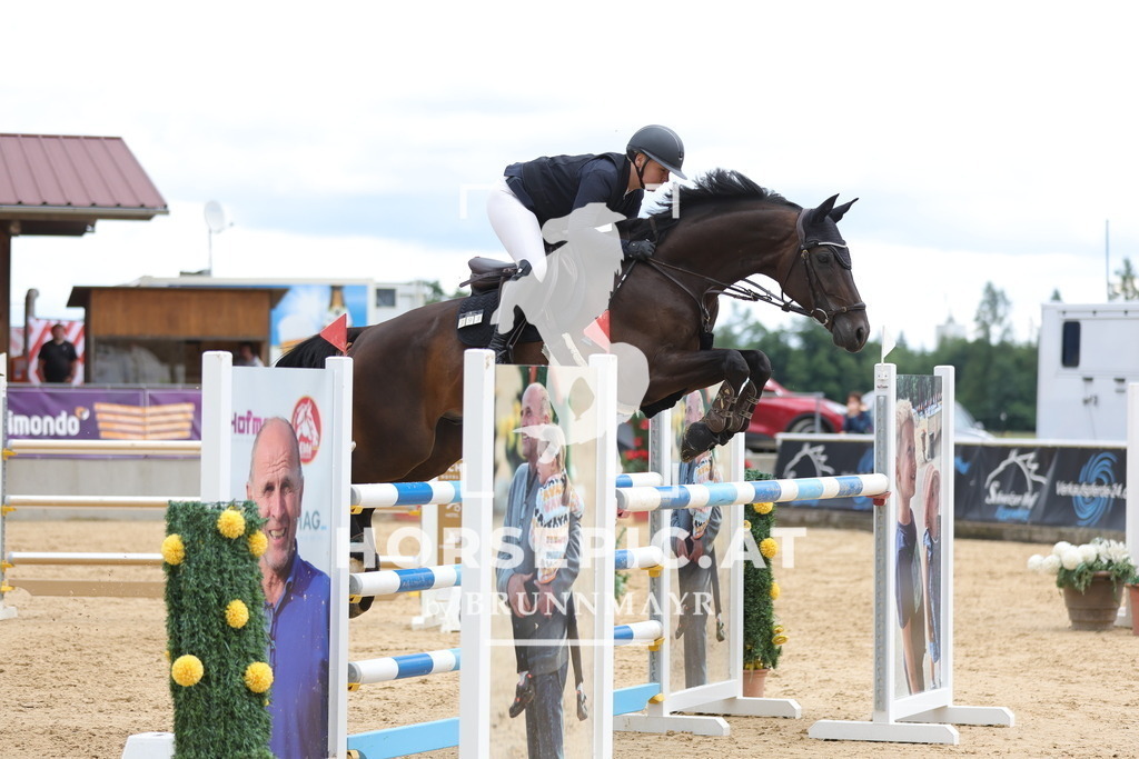 0P6A4848 | Willkommen bei Brunnmayr - Design & Fotografie – Ihrem Spezialisten für Reitturniere und Pferdeveranstaltungen in Oberösterreich, Salzburg und Bayern! Seit über 17 Jahren sind wir leidenschaftlich dabei.