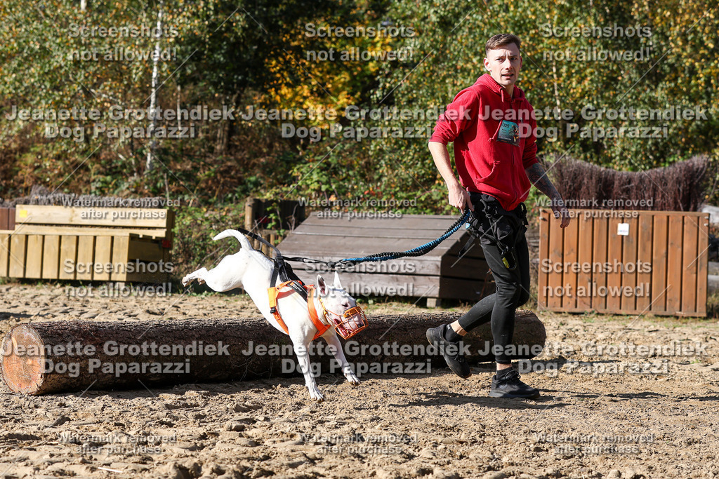 Dog Paparazzi - Strongdog 10-25-4826 | Dog Paparazzi Jeanette Grottendiek Fotografie & Videografie - Realisiert mit Pictrs.com
