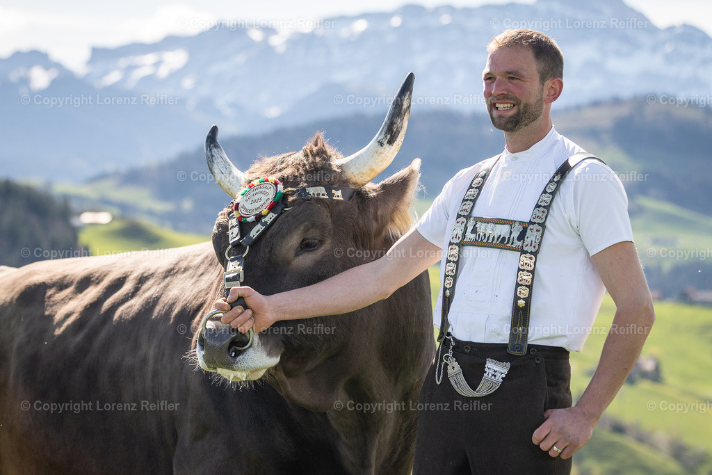 Schwingen -  Lebendpreise Schwägalp 2025 | Schwägalp, 19.4.25, Schwingen - Lebendpreise Schwägalp.