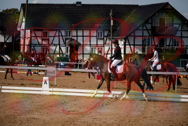 2026_10_03_Siefer-Hof_115517_Z63_30665322 | Professionelle Reitsport-, Turnier- und Eventfotografie von Robert Broda. Galerien mit ausgewählten und bearbeiteten Bildern direkt online ansehen und bestellen.