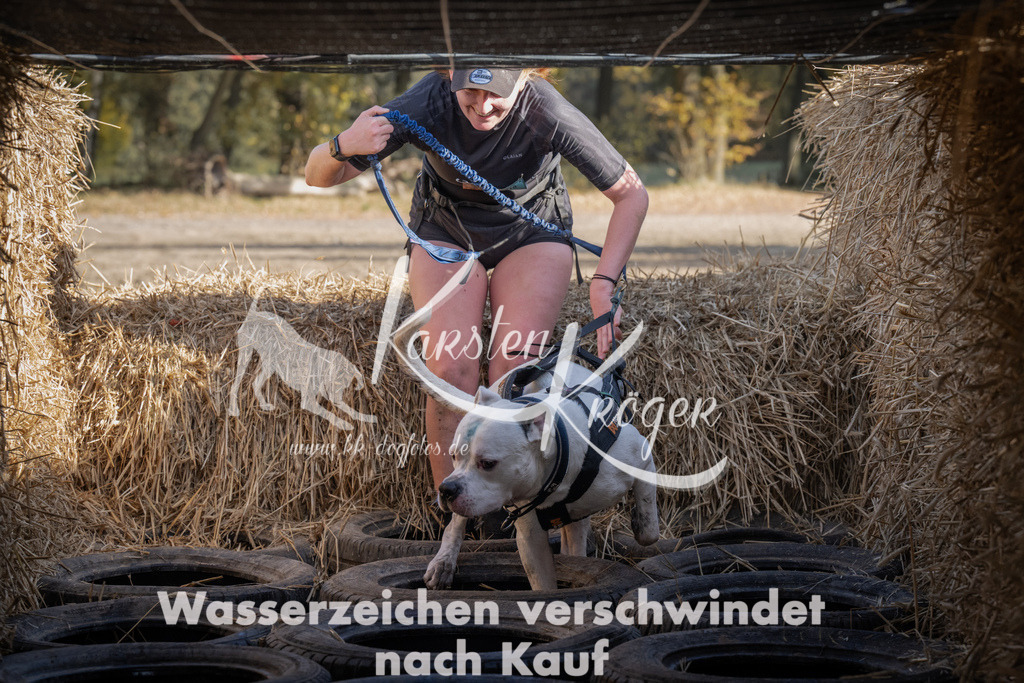 1136_ZZ92143 | kk-dogfotos