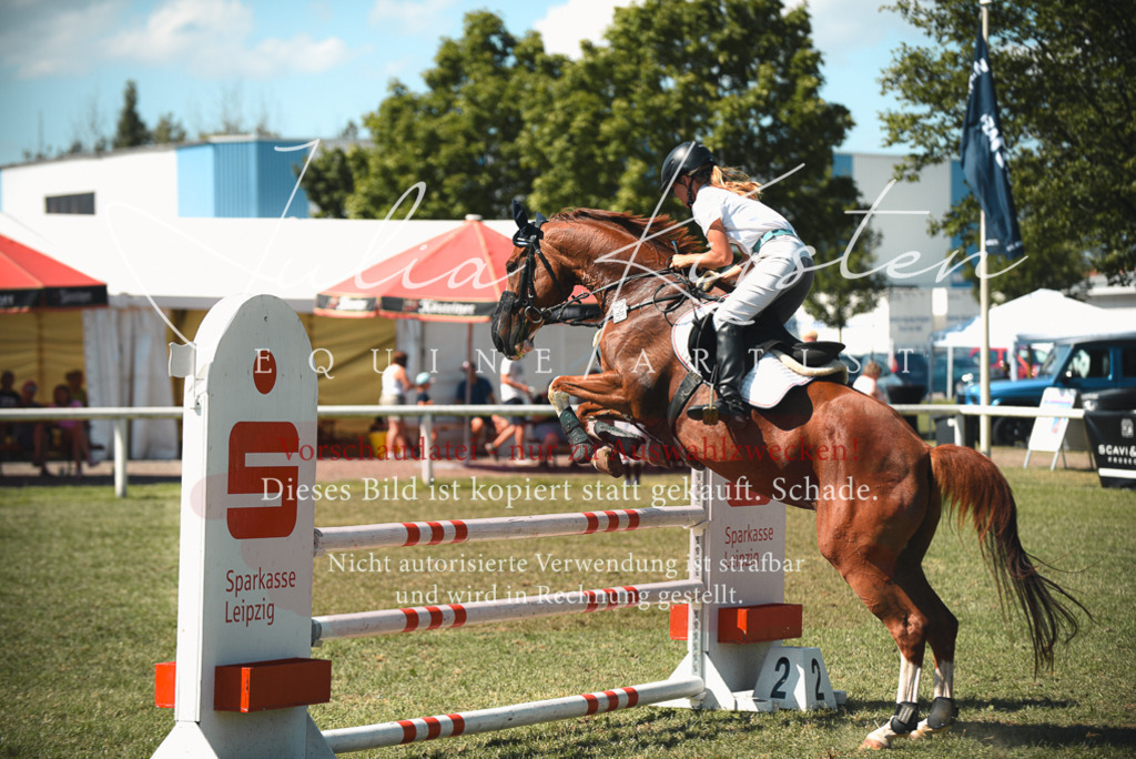 DSC_6863 | Pferde- und Turnierfotografie in Westsachsen. Pferdeportraits, Auftragszeichnungen und intuitive Kunst.