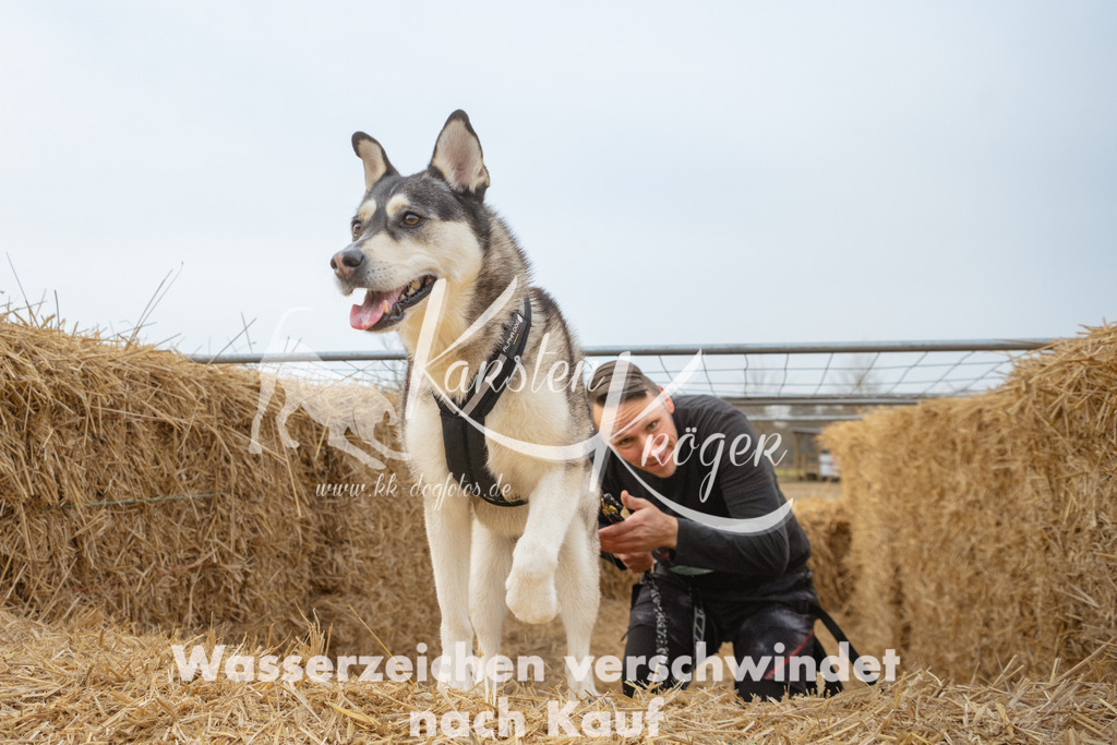 0941_ZZ99545 | kk-dogfotos