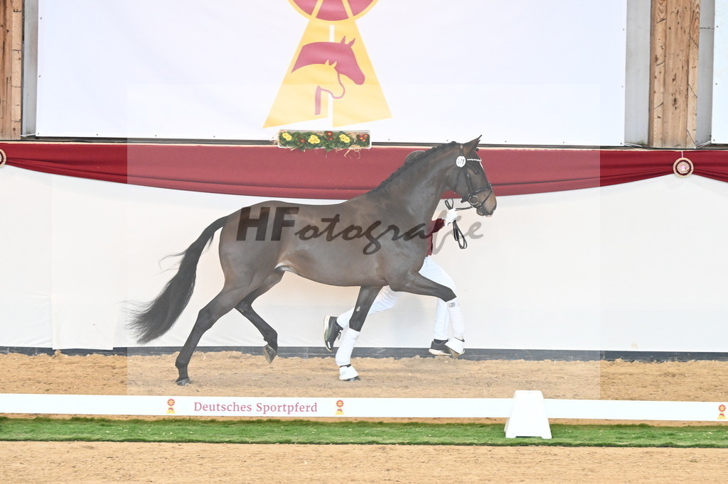 Kat.-Nr. 71 v. Va Bene_Müller_2240946 | hf-fotografie - Realisiert mit Pictrs.com