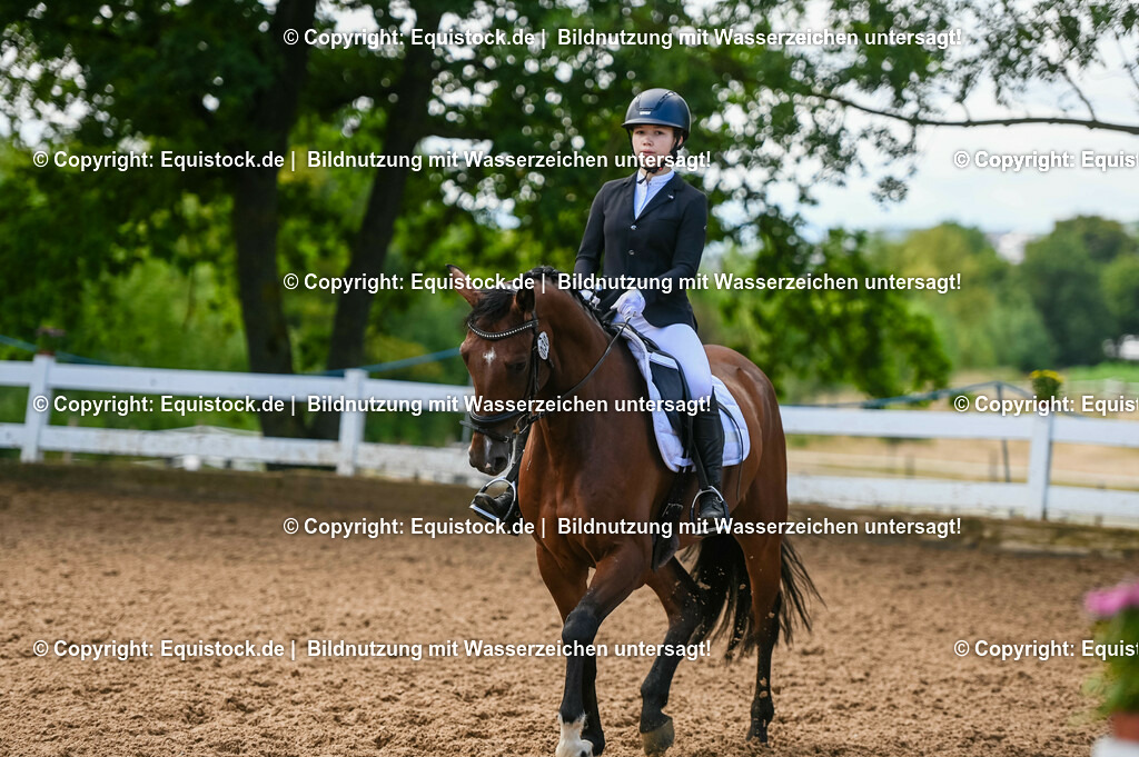 20230716_04_Dressurreiterprüfung Kl.A_0399 | equistock