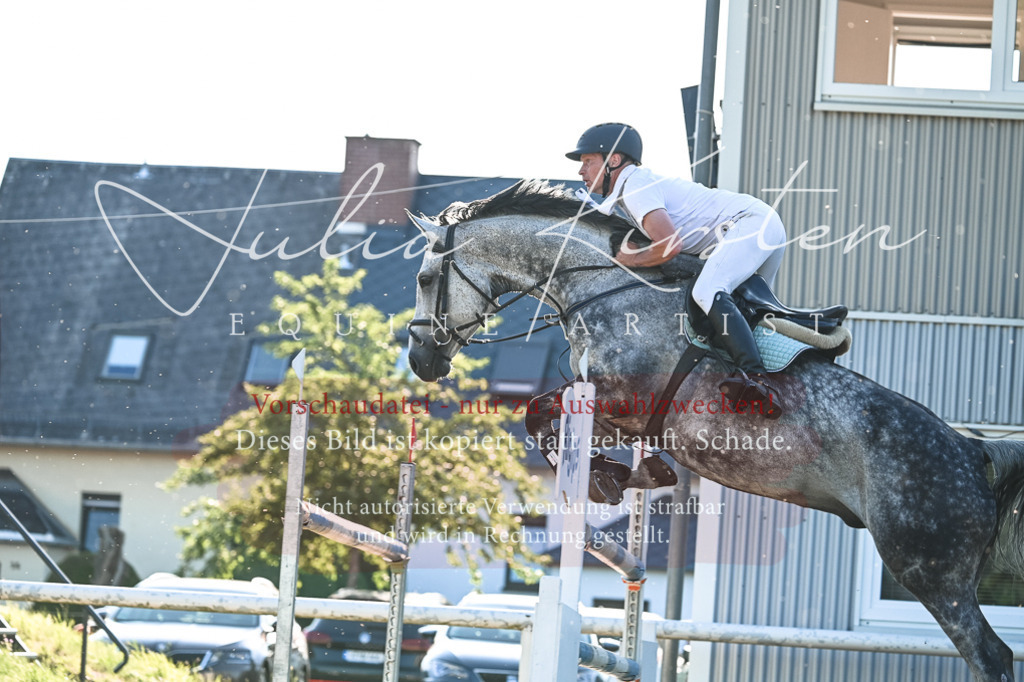 DSC_3096 | Pferde- und Turnierfotografie in Westsachsen. Pferdeportraits, Auftragszeichnungen und intuitive Kunst.