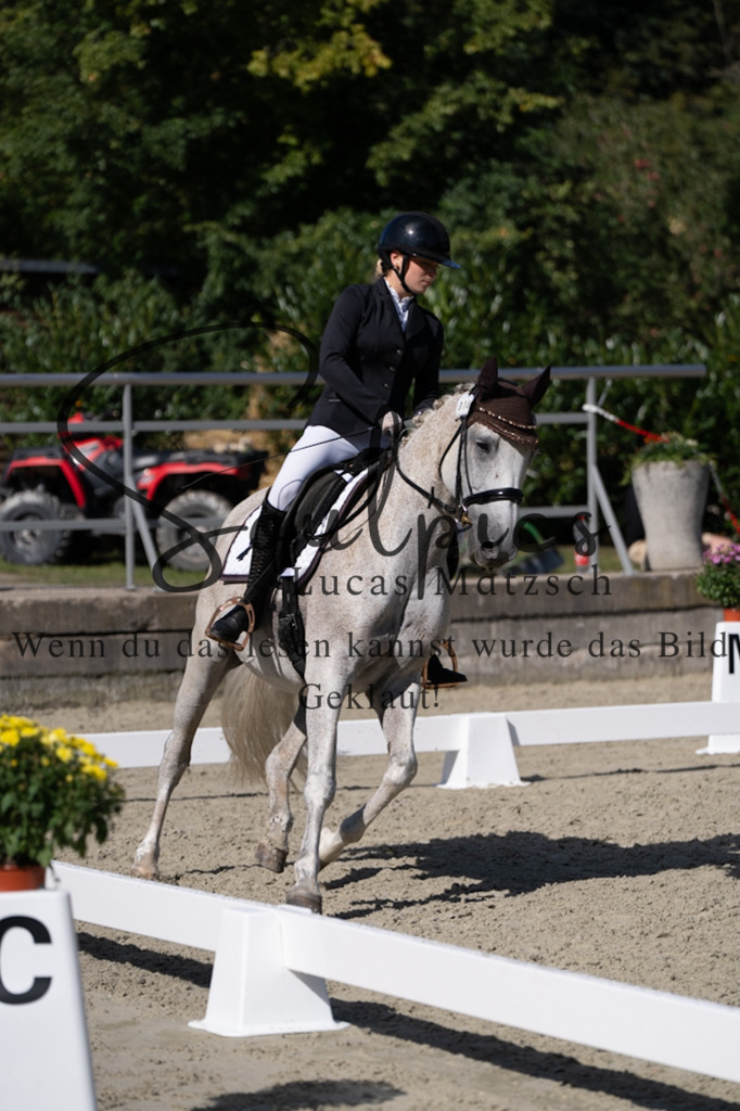 A7V07048 | Turnier/Reitfotograf