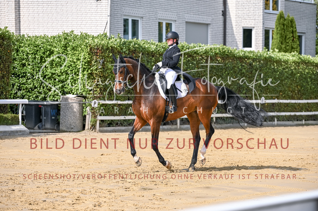 Schugtsche-Aluta25-58. Dressurprf.S1Kand.St.GeorgSpecial-337 | Schugtsche Fotografie - Realisiert mit Pictrs.com