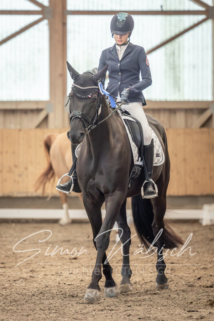 20251011-_3LI7434 | Tierfotografie Pferde, Hunde, Katzen, Haustiere.
Turnierfotografie Reitturniere, Reiten, Springreiten, Dressur in Hanau, dem Main-Kinzig-Kreis und dem Rhein-Main- Gebiet um Frankfurt